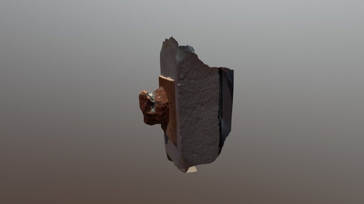 C1 3D Model