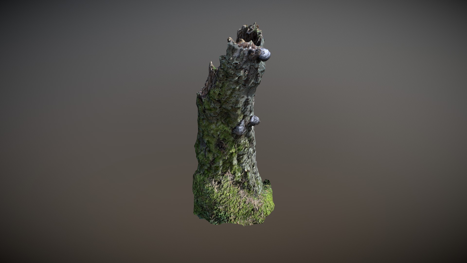 3D model Nature Forest Stuff 007 - This is a 3D model of the Nature Forest Stuff 007. The 3D model is about a tree with a small figure on it.