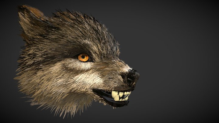 CoolPaintr VR - WOLF 3D Model