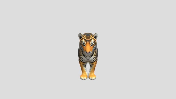 Bengal Tiger - Pseudo-Melanistic