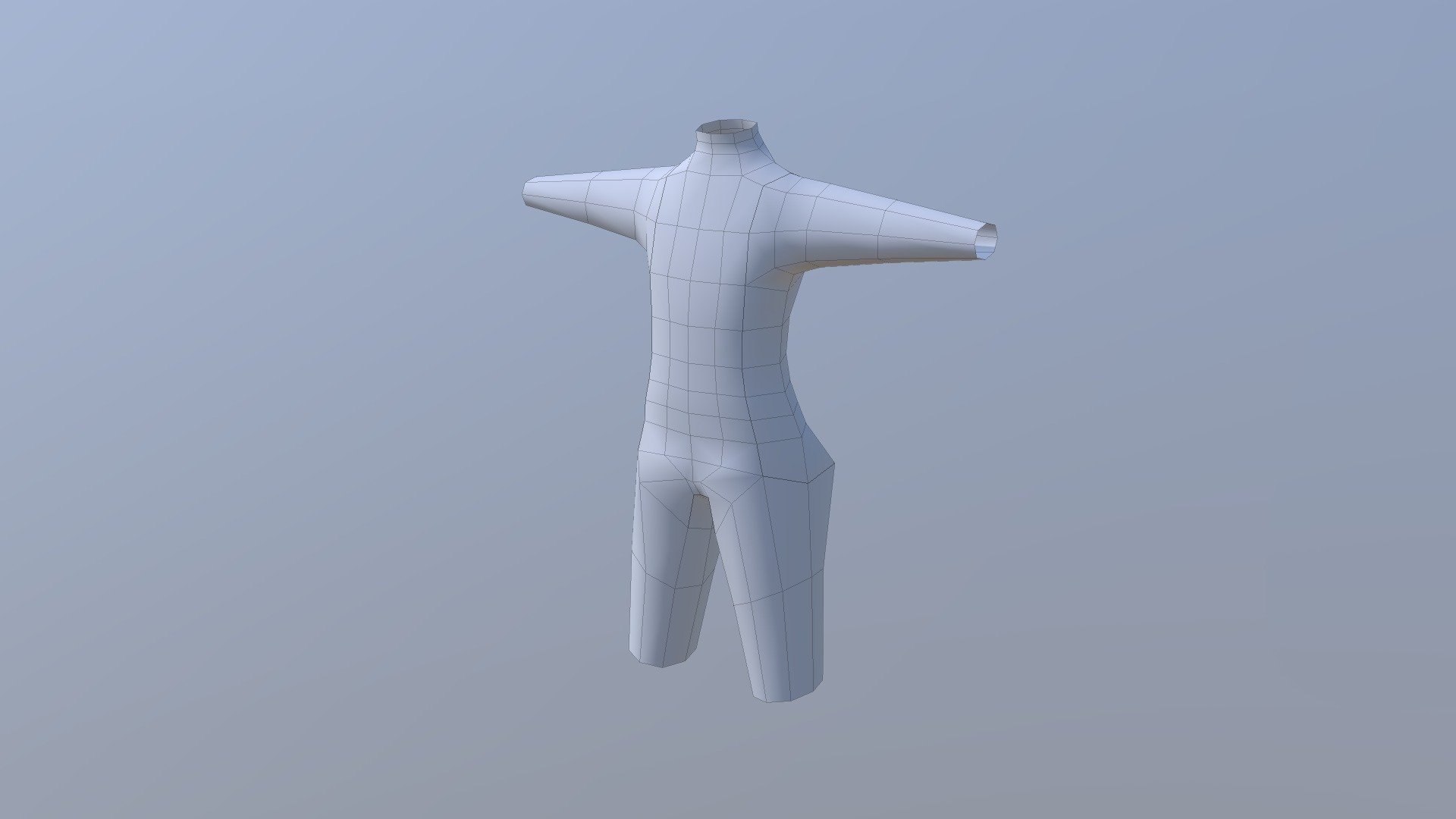 Torso Reference