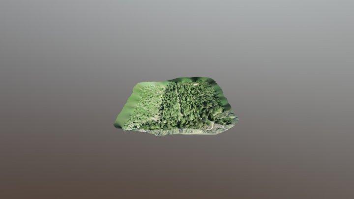 Elk, Washington Fields 3D Model