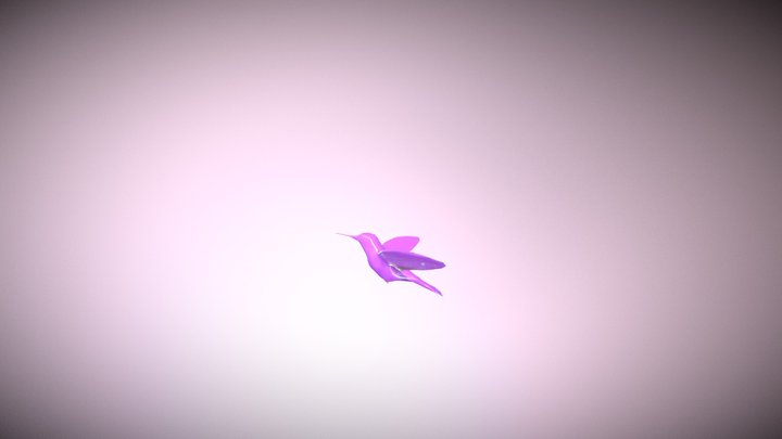 HUMMINGBIRD 3D Model