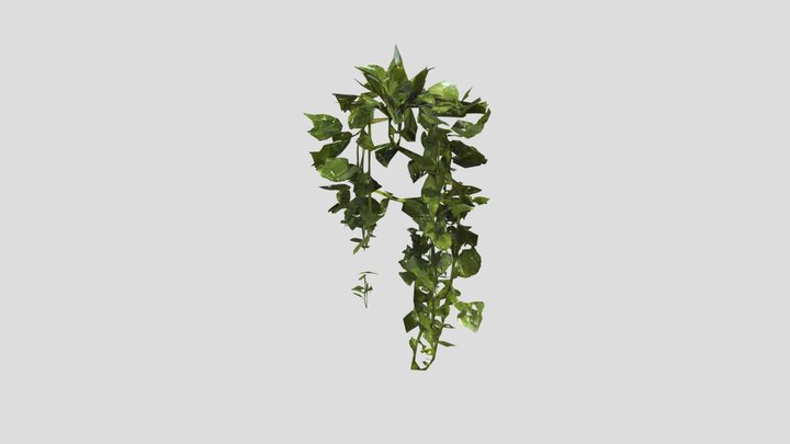 Hanging green potted plant 3D Model