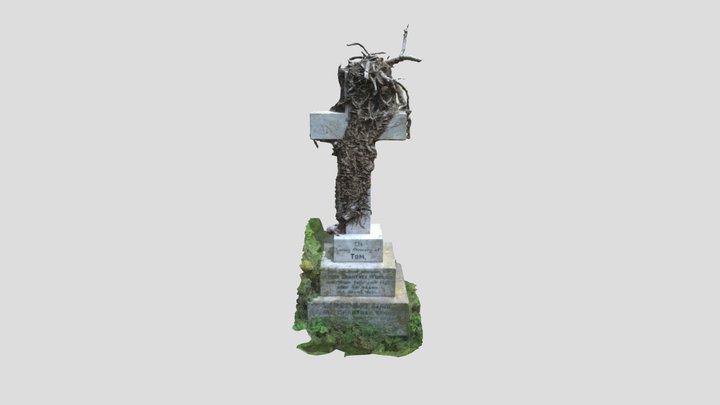 Cross entangled in branches 3D Model