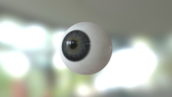 Realism Project: Eye 3D Model