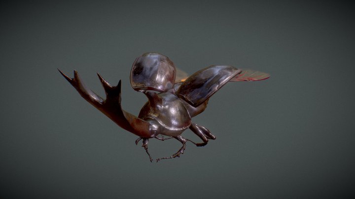 Unicorn beetle 3D Model