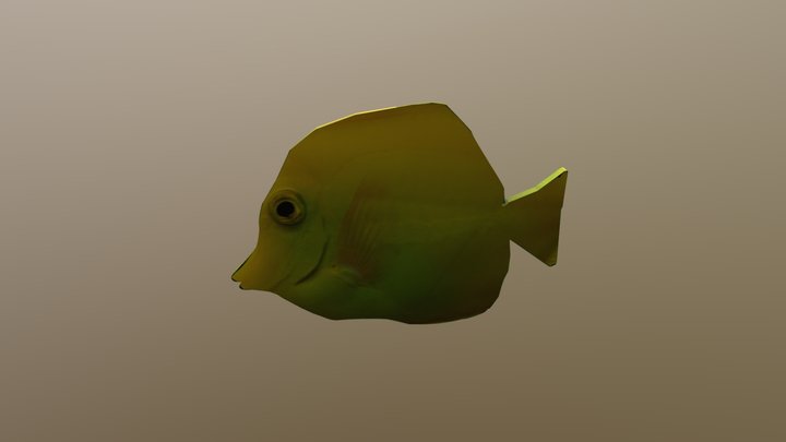 Fish 3D Model