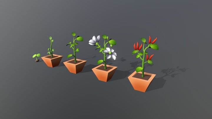 LowPoly_Chili 3D Model