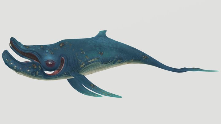 HSW Blue Whale – Free 3D Model STL