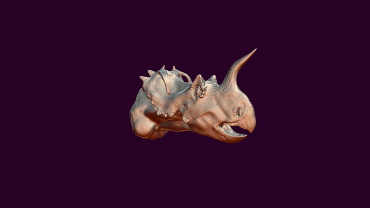 Centrosaurus Bust By Jen Cotton (Decimated Geo) 3D Model