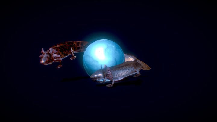 World Earth Day - Mexican Salamanders 3D Model