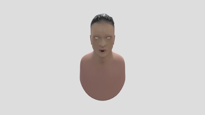 model 3D Model