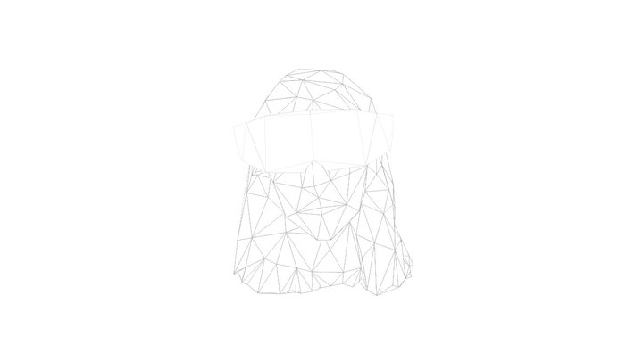 Polygon Head 3D Model