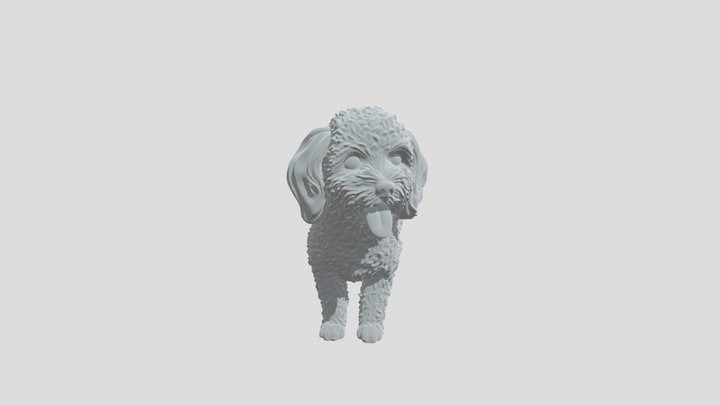 Brownie the mini poodle 3D Model