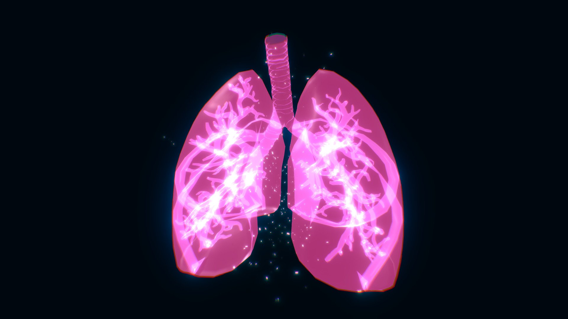 Holographic Lungs - 3D model by Joshua Whittaker (@joshuawhittaker ...