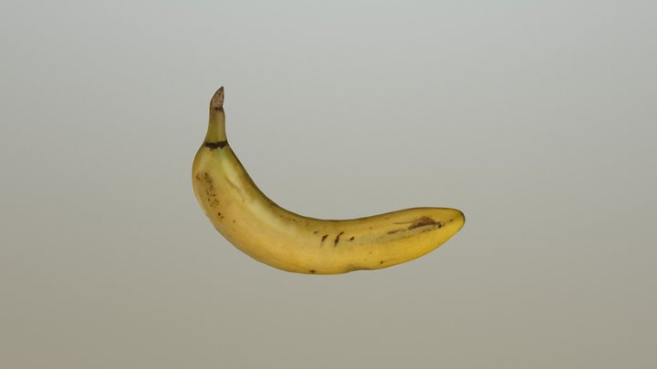 3D Scan Iphone opt 3D Model