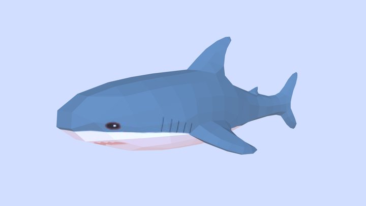 The Shork 3D Model