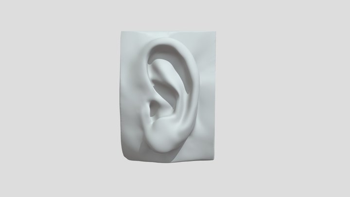 Final Ear 3D Model