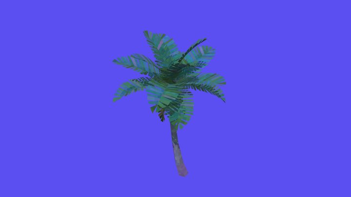 Palm Tree 3D Model