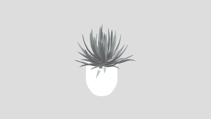 Plant Lech Agave Pot