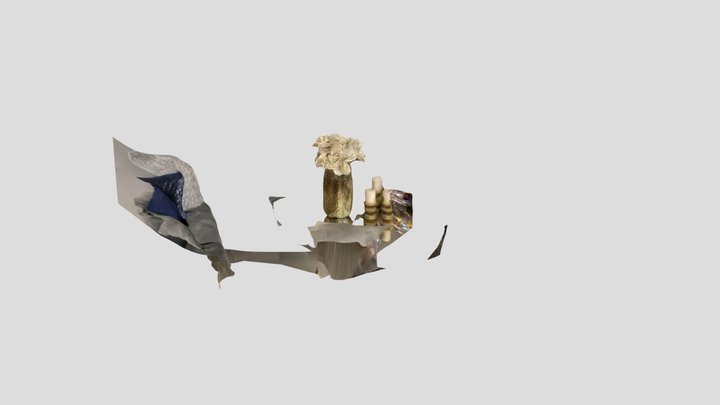 Polycam capture 3D Model