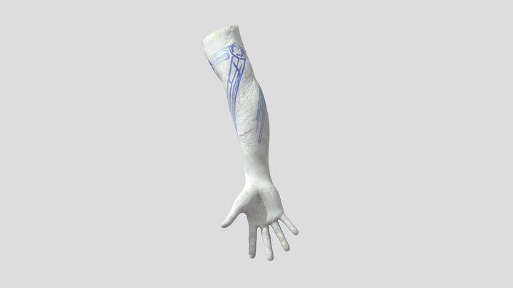 Noah Van Gilder 3D Model