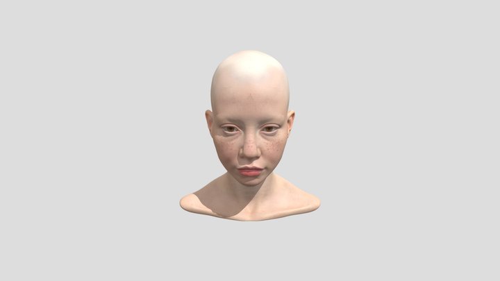 0 3D Model