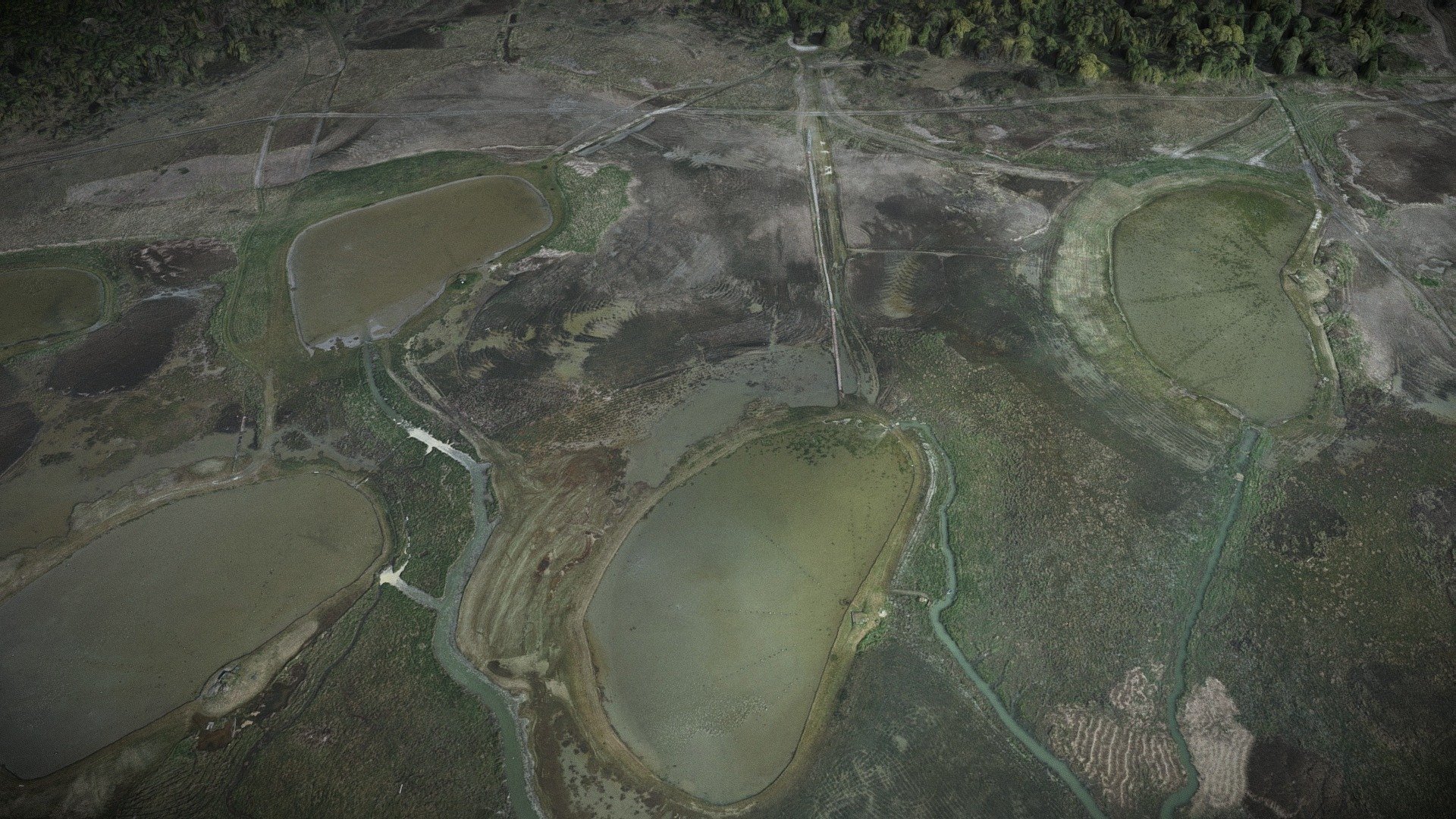 Réserve Naturelle de l'Estuaire de Seine