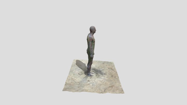 Another Place By Antony Gormley Crosby Beach 3D 3D Model