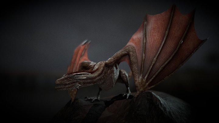 Game of Thrones - Adult Dragon 3D Model