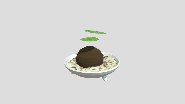 plant 3D Model