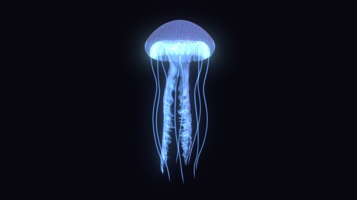 Blue jellyfish – Free 3D Model STL