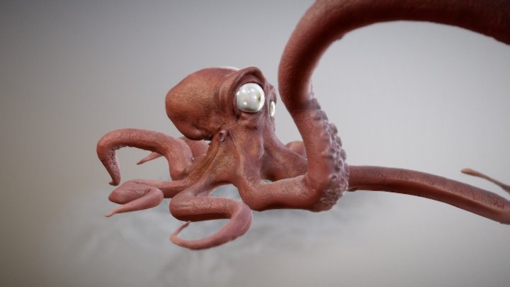 Squid 3D Model