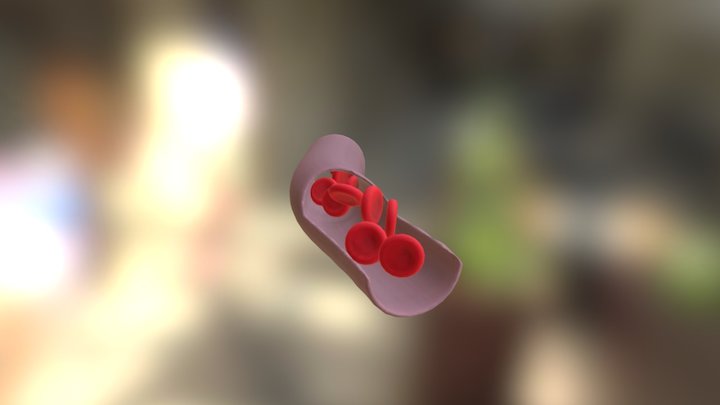 Capillary vessel with red blood cells. 3D Model