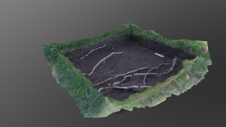 MCG18-5 3D Model