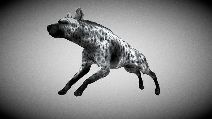Hyena 3D Model
