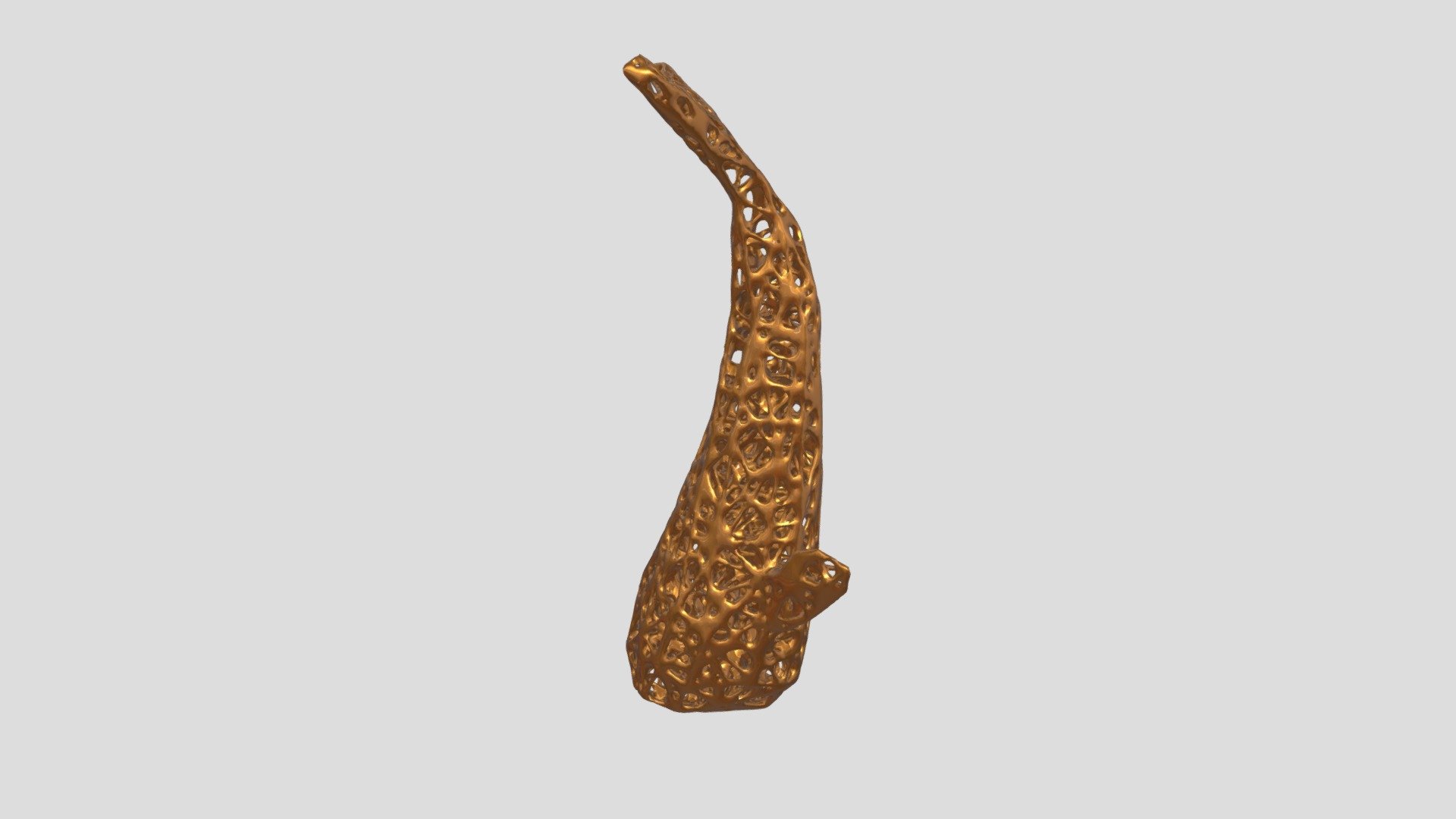 Whale Voronoi
