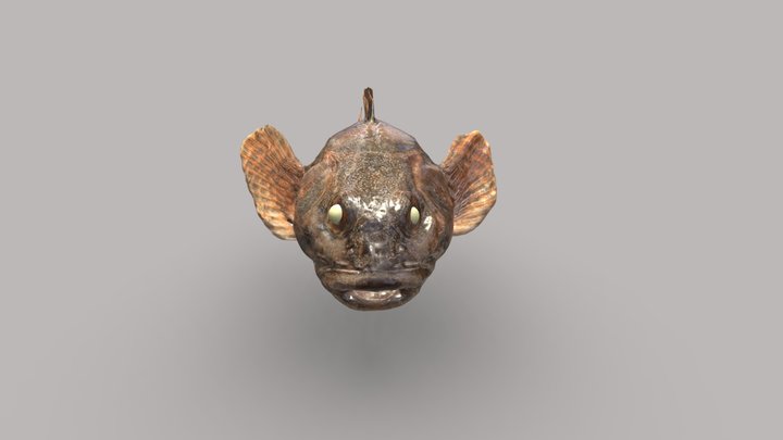 hanakajika 3D Model