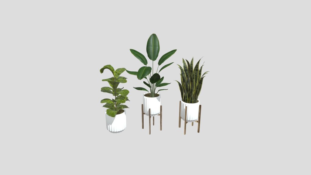 Plant Set