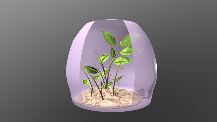 OrganOrange Phase 2: Hormones 3D Model
