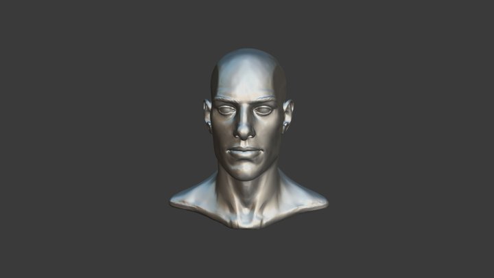 Male head sculpt 3D Model