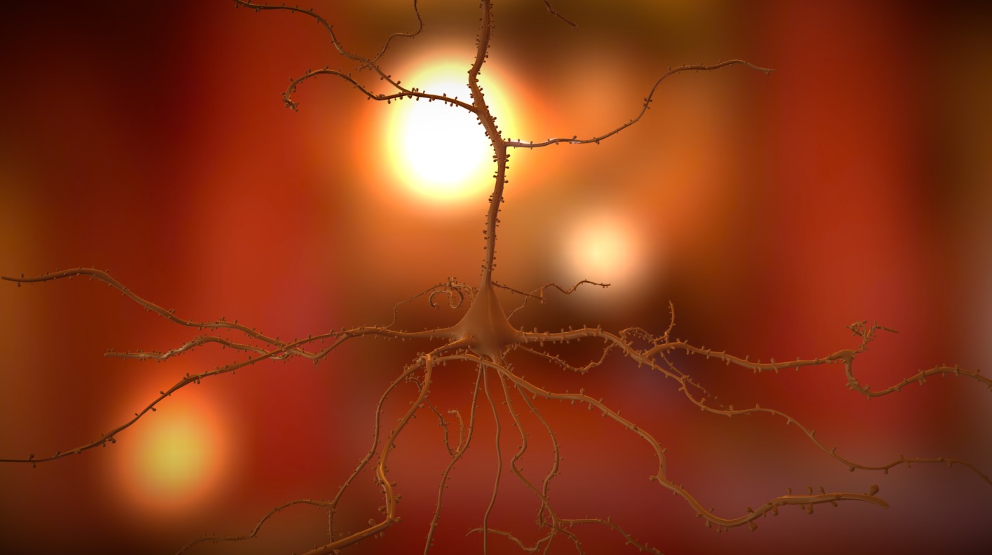 action potential neuron animation