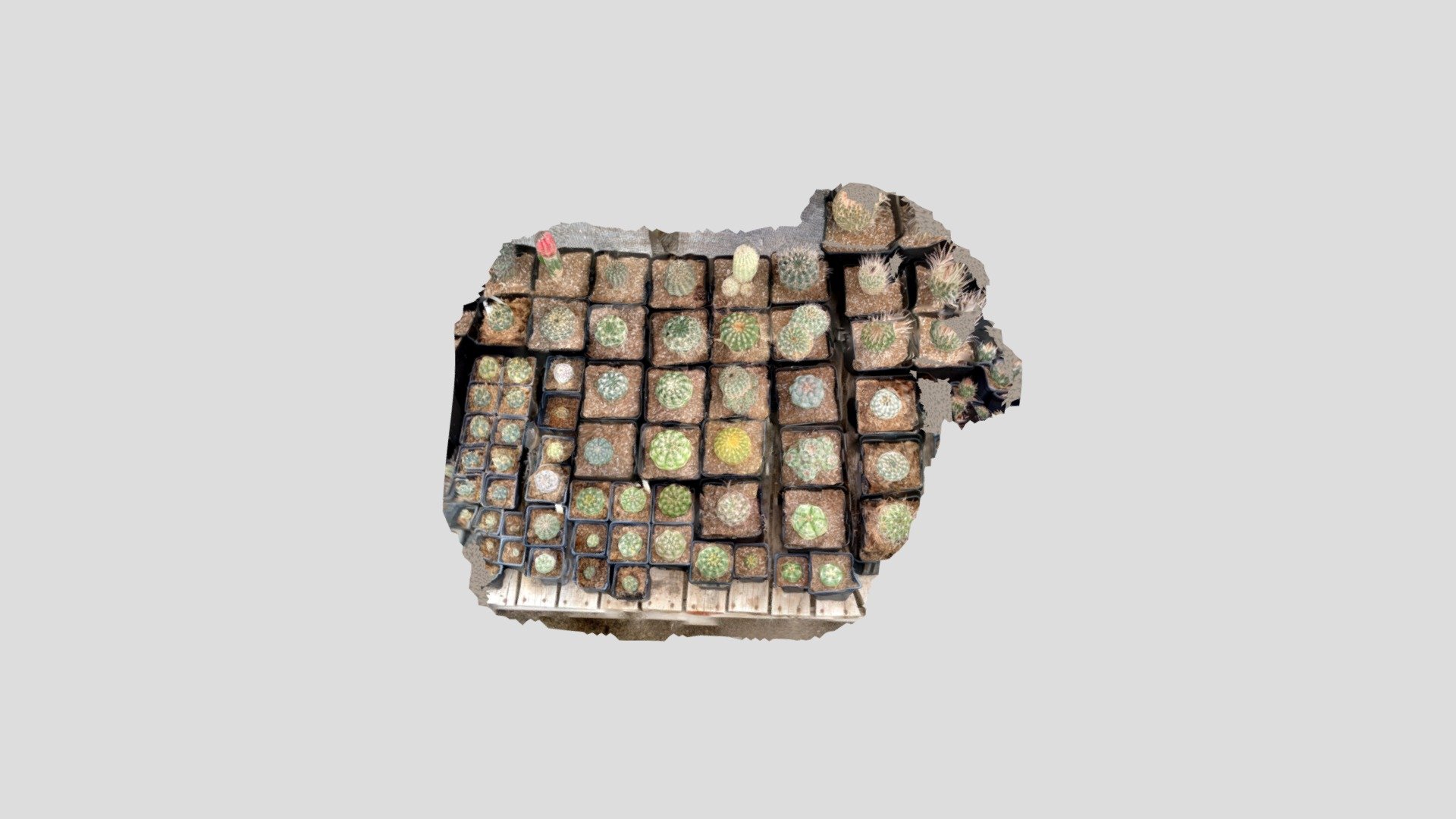 A TRNIO Model