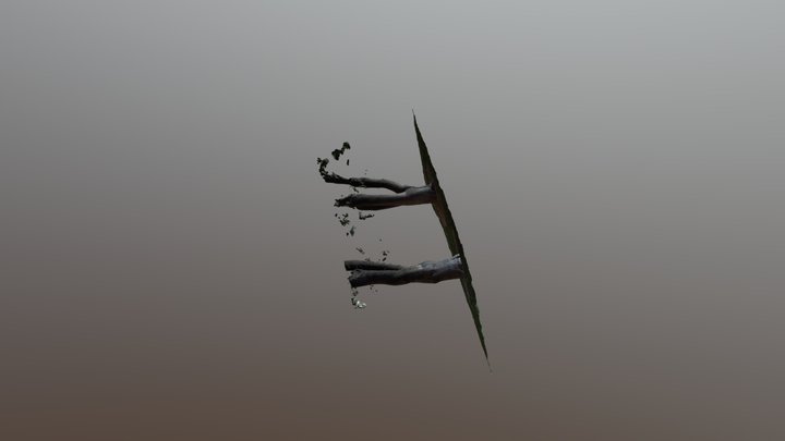 Two Trees High 3D Model