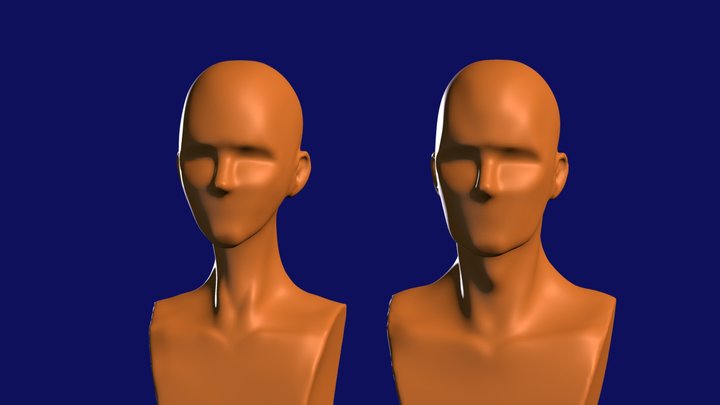 Simple_ Male& Female Head 3D Model