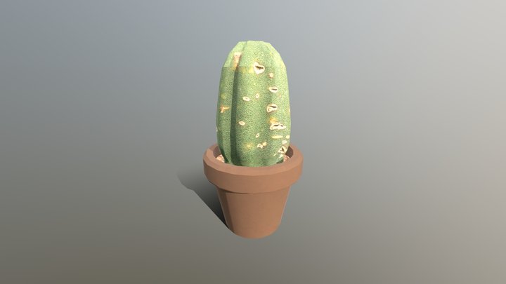 Hasenbalg_Cactus_Model 3D Model