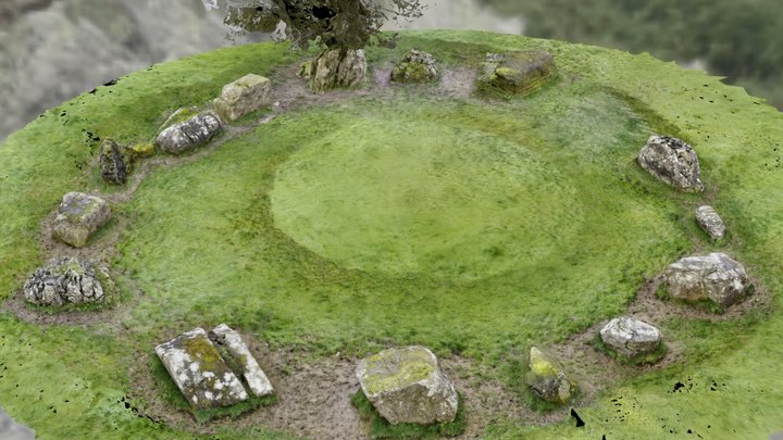 Lough Gur Circle