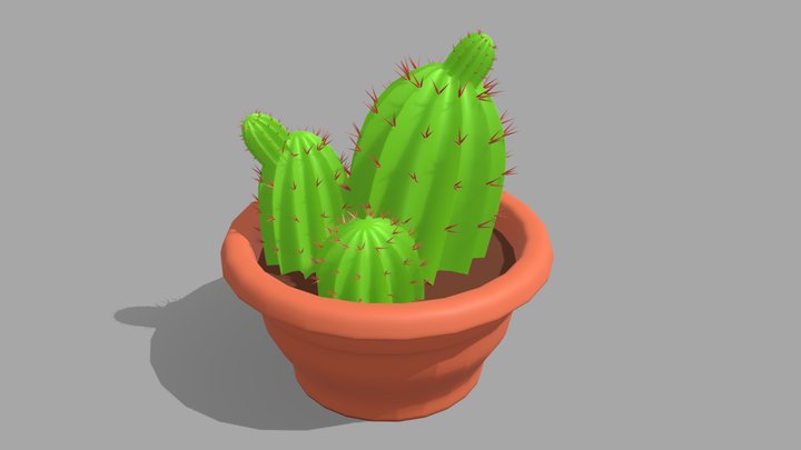 Cactus Plant in Pot Low Poly 3D Model