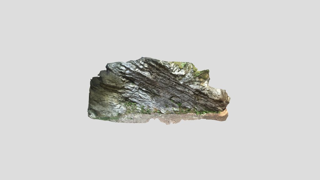 Forest Cliff